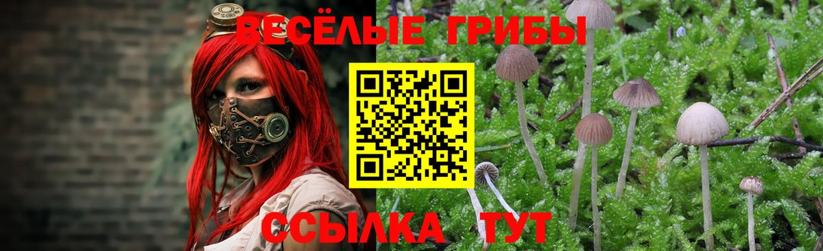 Стрежевой  Псилоцибиновые грибы прущие грибы  Вход с VPN 